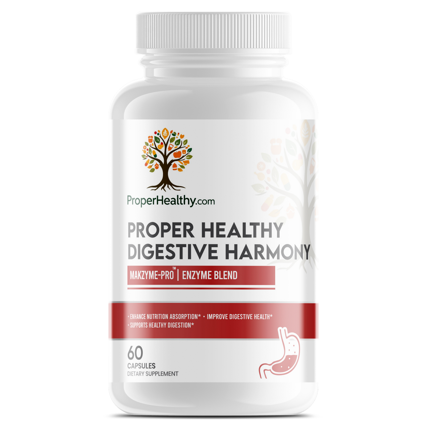 Proper Healthy Digestive Harmony